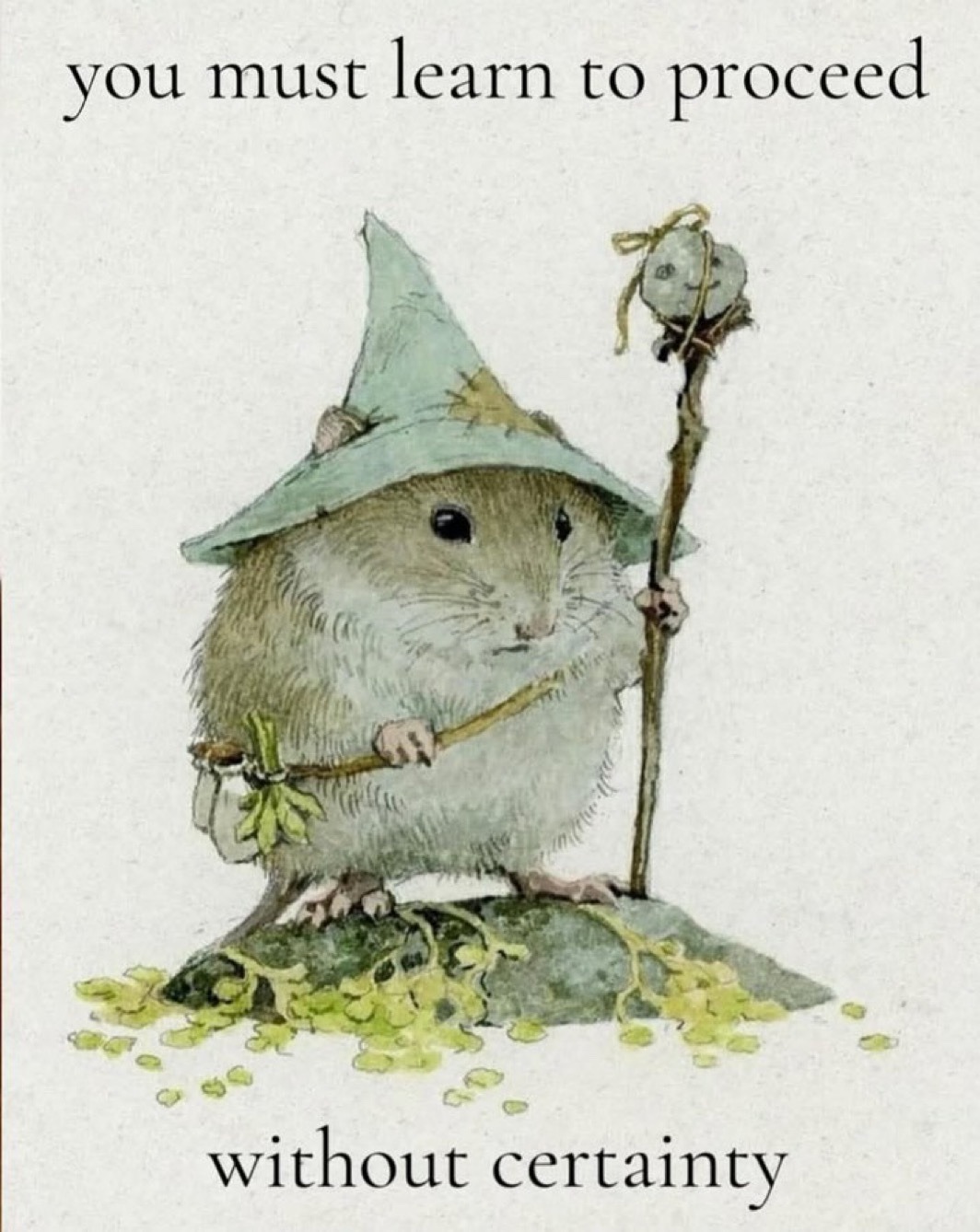 A charming watercolor hamster wizard wearing a pointed hat, standing on a rock, holding a staff, above the text 'you must learn to proceed without certainty'.